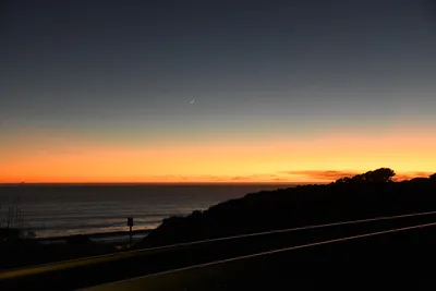 DSC_2569 (Large).JPG